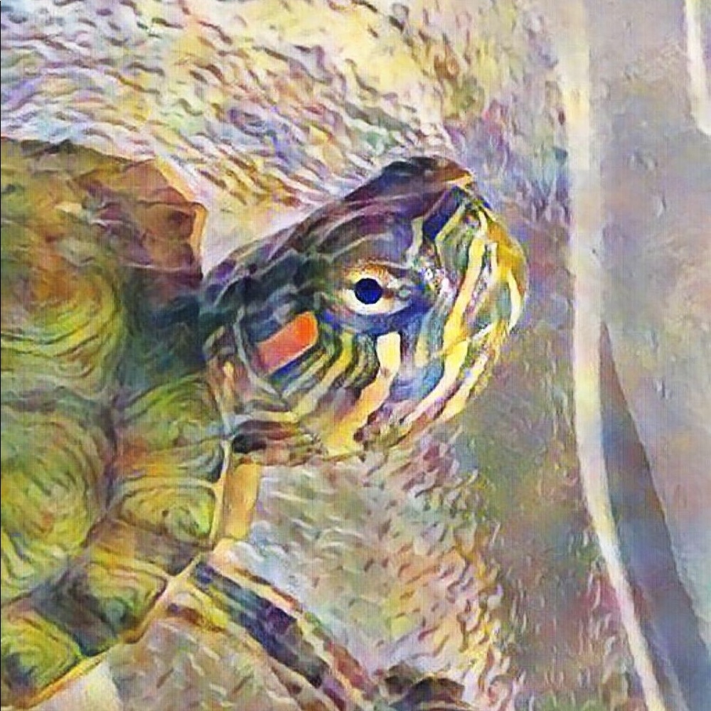 Meet your Posher, Craig